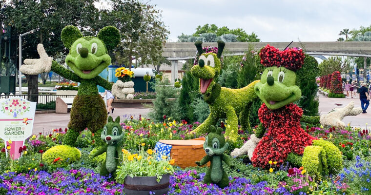 Topiaries of Mickey Mouse, Minnie Mouse, and Pluto on a bed of flowers at EPCOT in Walt Disney World.